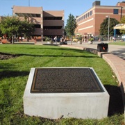 'Waiting for the Grwost'