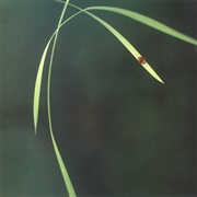 Fluke - Out (In Essence)