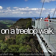 Go on a Treetop Walk