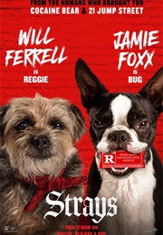 Strays (2023)