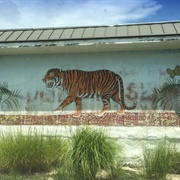 Mammoth Cave Wildlife Museum