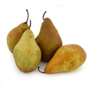 Xenia Pear