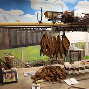 Shade Tobacco Museum