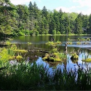 Woodford State Park, Vermont