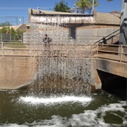 Arizona Falls