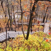 Stairs Up Mont Royal, Montreal, Canada