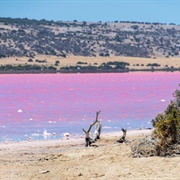 Lake Hillier, Australia