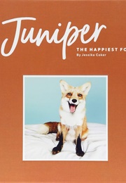 Juniper: The Happiest Fox (Jessika Coker)