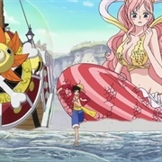 556. First Showing! Sunny's Secret Weapons!