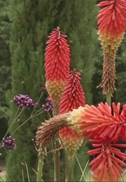 Great Gardens: Cotubín, Cantabria, Spain (2014)