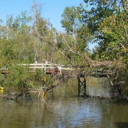 Lake Fausse Pointe State Park