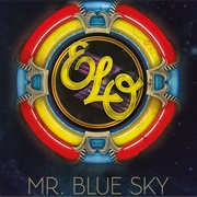 Mr. Blue Sky