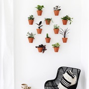 Wall Planters
