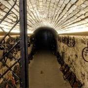 Botanical Garden Visitor's Center Gift Shop Tunnel