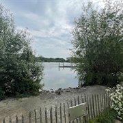 Hondenzwemplaats, Onkerzele