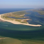 Blakeney Point, Norfolk, England