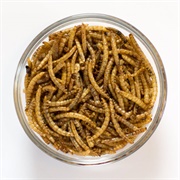 Dried Mealworms