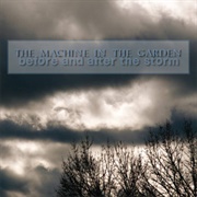 The Machine in the Garden- Before and After the Storm