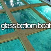 Ride on a Glass Bottom Boat