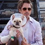 Robert Downey Jr - Due Date