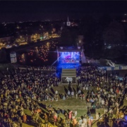 Vijverfestival (Vlaams-Brabant)