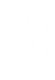 Woman With a Sword (1952)