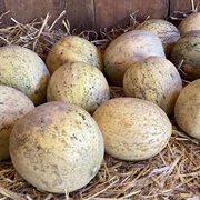 Crane Melon