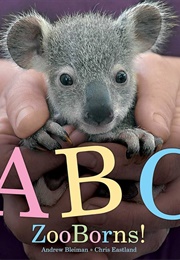ABC Zooborns! (Andrew Bleiman)