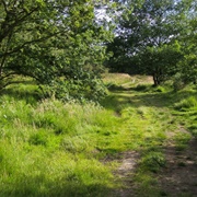 Wimbledon Common, London