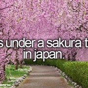 Kiss Under a Sakura Tree in Japan
