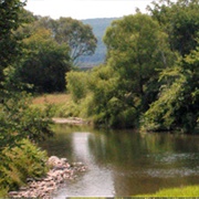 Robert V. Riddell State Park, New York