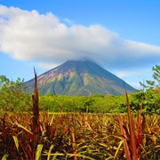 Isla Ometepe, Nicaragua