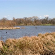Pickerington Ponds State Nature Preserve