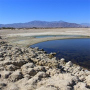 Salton Sea