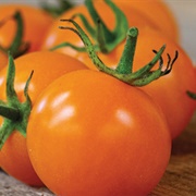 Orange Cherry Tomato