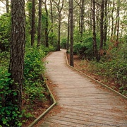 Go on a Backpacking Trip Through Remote Trails