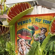 California Carnivores