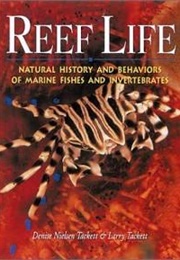Reef Life (Denise Nielsen Tackett & Larry Tackett)