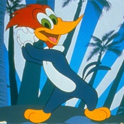 New Woody Woodpecker Show