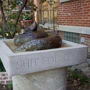 Shit Fountain