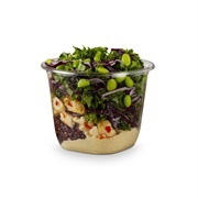 Chicken Hummus Salad