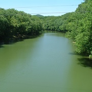 Brush Creek State Forest