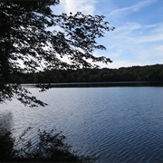 Grafton Lakes State Park, New York