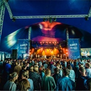 Gladiolen (Antwerpen)