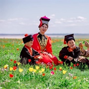 Tulips Festival, Kalmykia