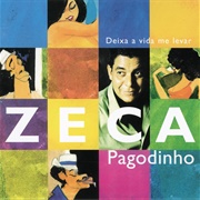 Deixa a Vida Me Levar