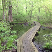 Gahanna Woods State Nature Preserve