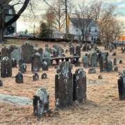 Ye Antientist Burial Ground