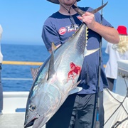Bluefin Fishing