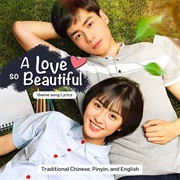 A Love So Beautiful (Chinese)